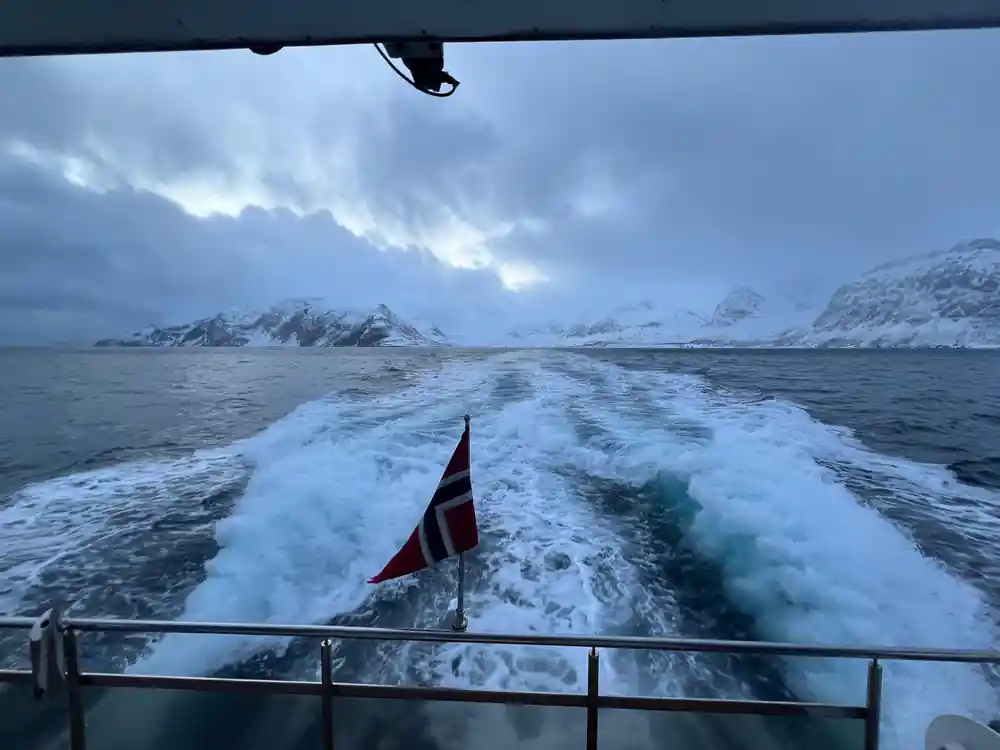 Boat wake in icy fjord with snow mountains ahead