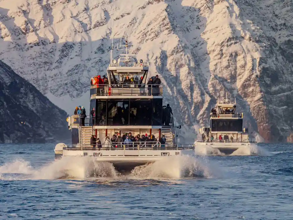 Catamaran boat creating wake near steep snowy fjord mountains