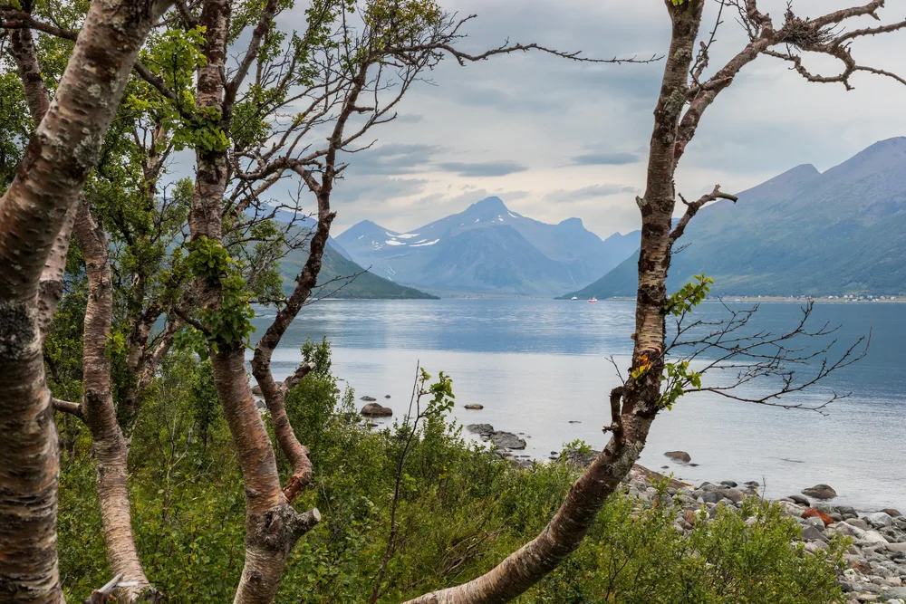 The Kagsundet strait seen from Storsteinneset near Skjervoy, the narrow sound between Kagen island and the mainland