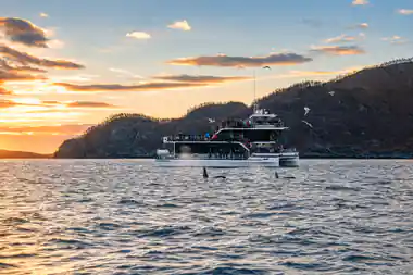 Large green and white catamaran boat near forested mountains