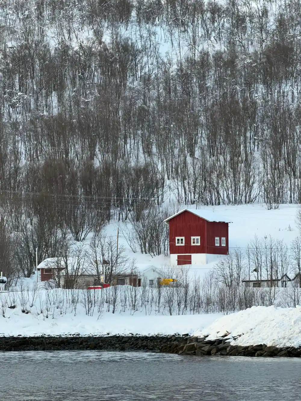 Red wooden house in snowy landscape with birch trees