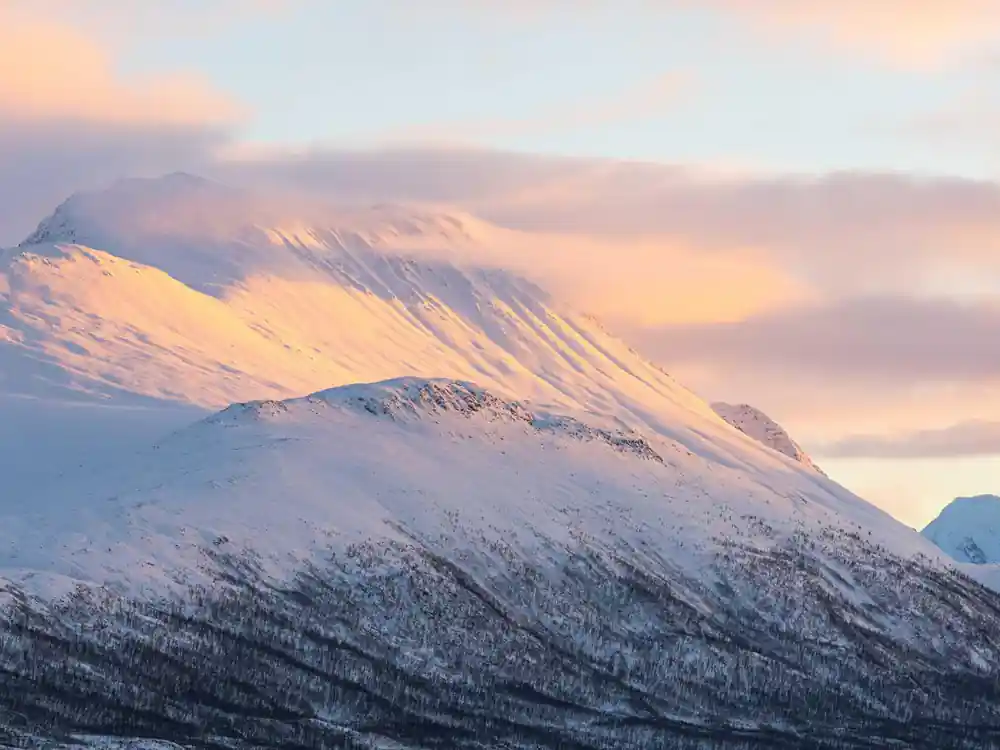 Snow-covered mountain peak at sunset with forested slopes