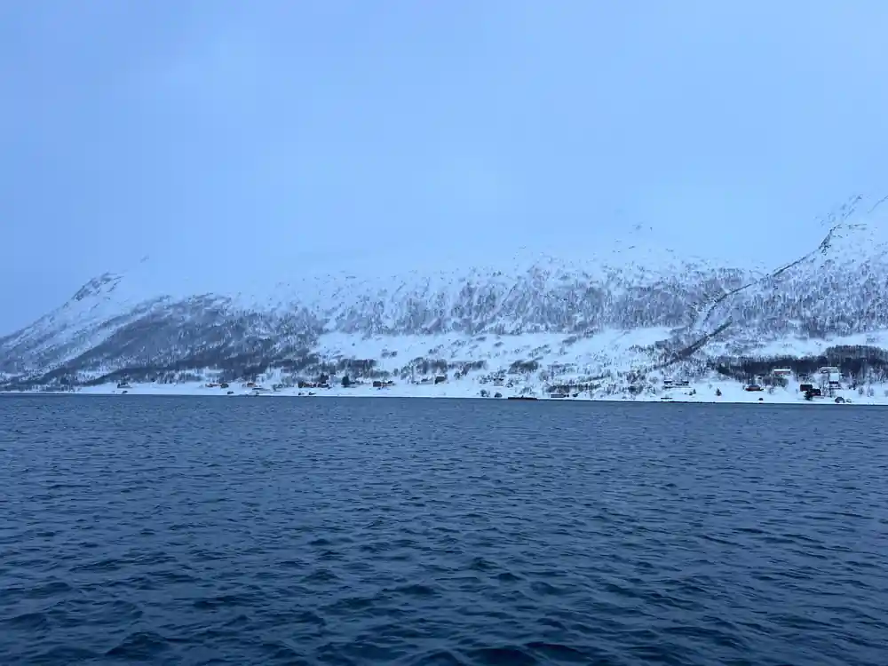 Snow-covered mountains across calm blue fjord water