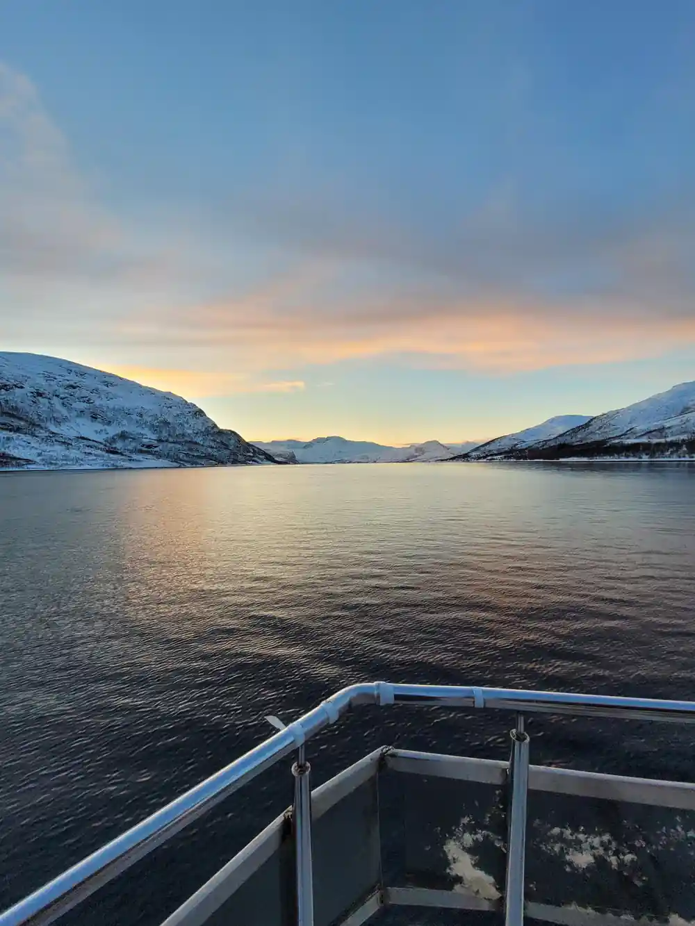 Snowy mountains across fjord viewed from boat railing