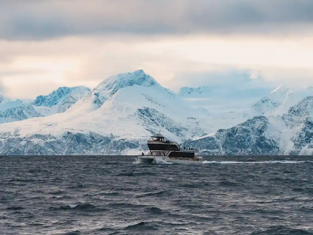 Tourist boat on calm water with snow-covered mountain range