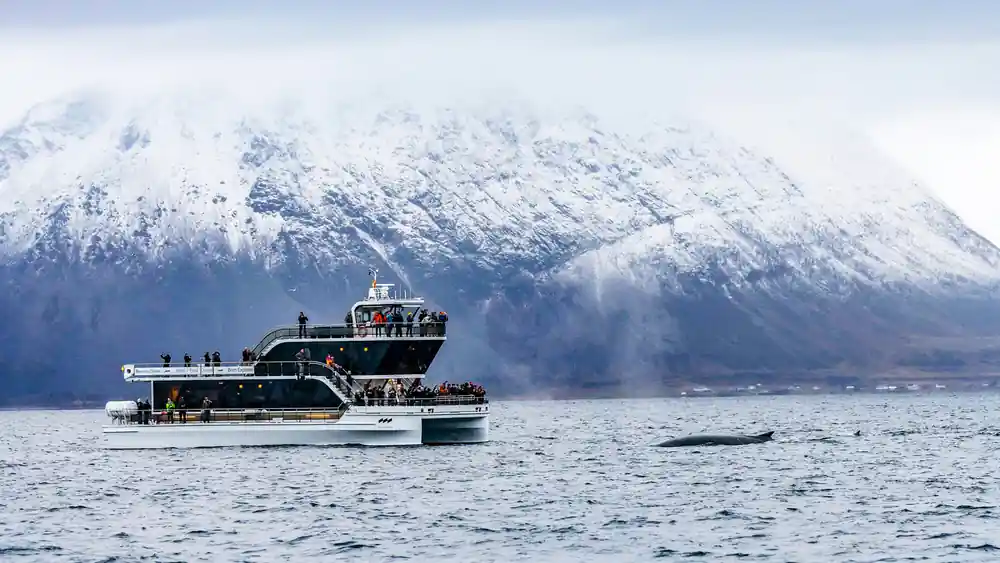 Tourist boat on water with snow-covered mountain backdrop